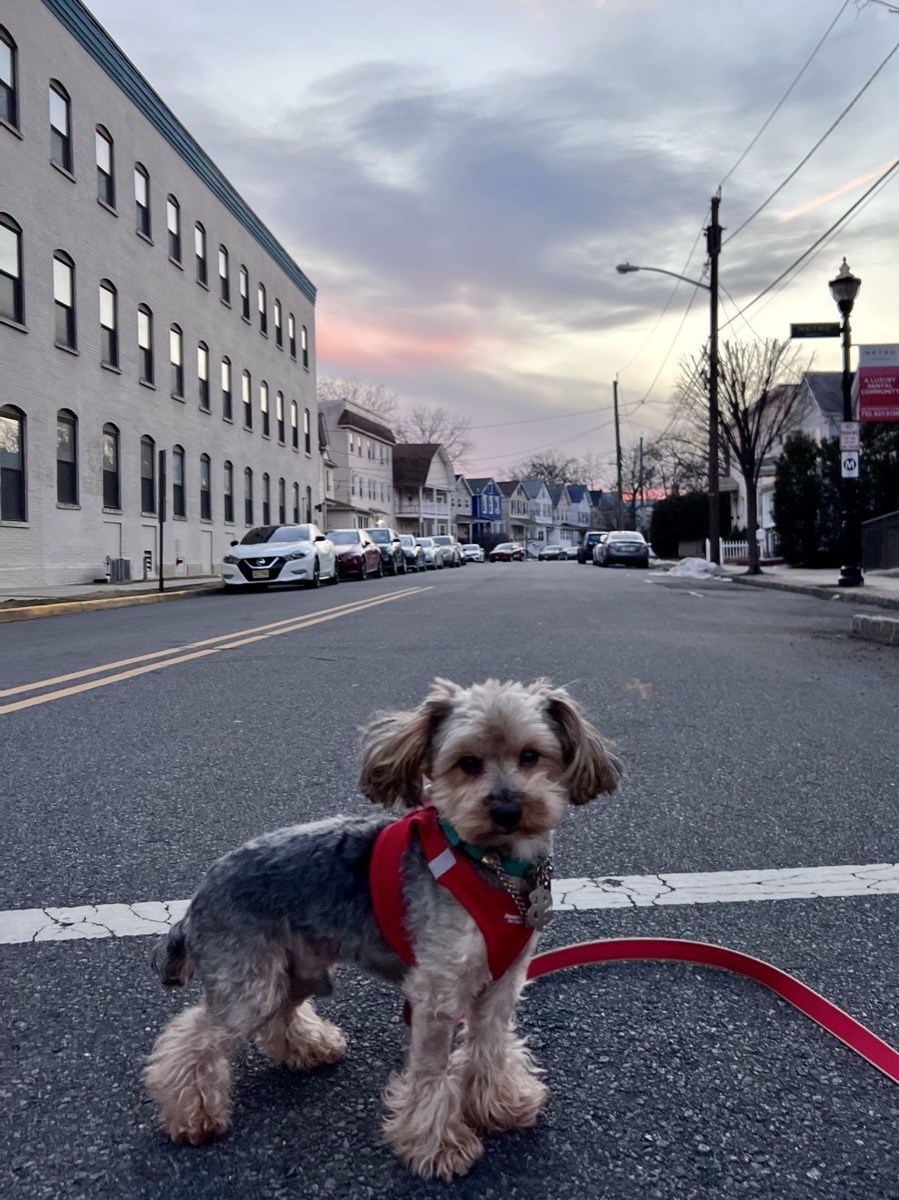 TomFord on Rahway streets